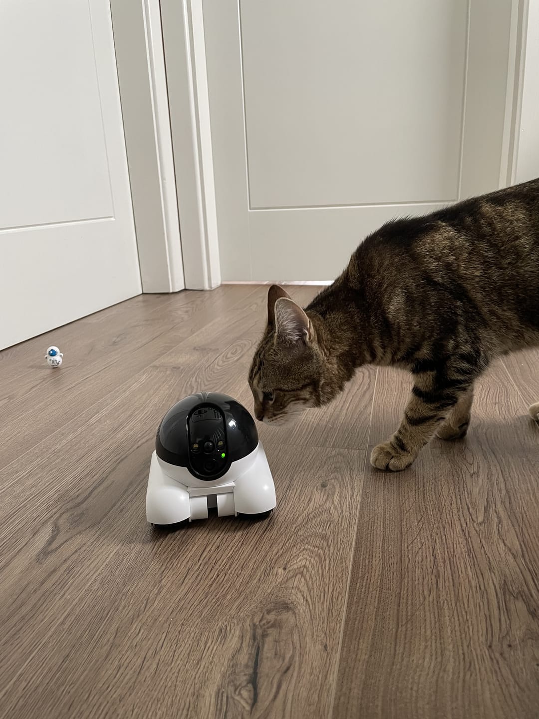 NearYou Cam™ – Inteligentna Kamera 360°